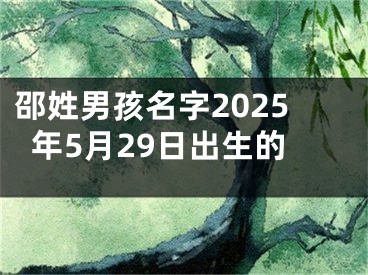邵姓男孩名字2025年5月29日出生的