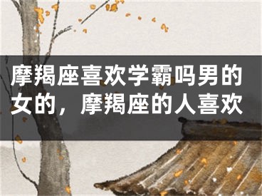 摩羯座喜欢学霸吗男的女的，摩羯座的人喜欢