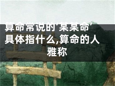 算命常说的‘某某命’具体指什么,算命的人雅称