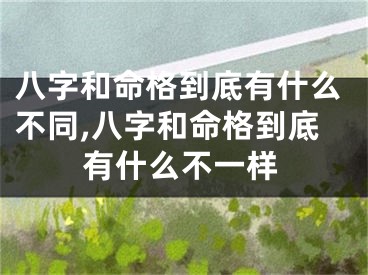 八字和命格到底有什么不同,八字和命格到底有什么不一样