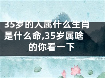 35岁的人属什么生肖是什么命,35岁属啥的你看一下