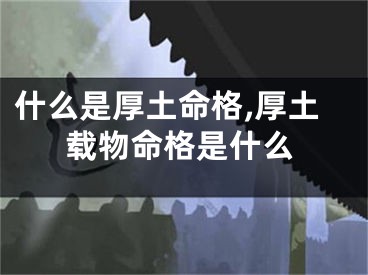什么是厚土命格,厚土载物命格是什么