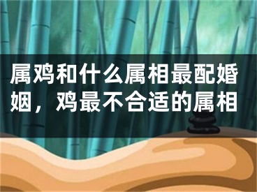 属鸡和什么属相最配婚姻，鸡最不合适的属相