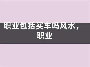 职业包括买车吗风水，职业