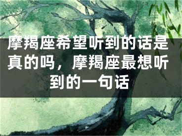 摩羯座希望听到的话是真的吗,摩羯座最想听到的一句话