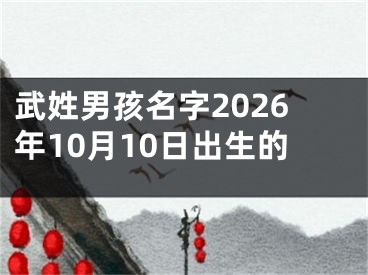 武姓男孩名字2026年10月10日出生的