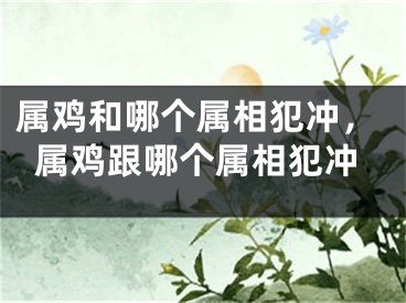 属鸡和哪个属相犯冲，属鸡跟哪个属相犯冲