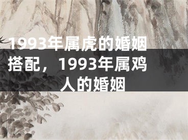 1993年属虎的婚姻搭配,1993年属鸡人的婚姻