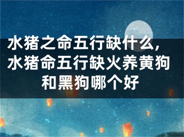 水猪之命五行缺什么,水猪命五行缺火养黄狗和黑狗哪个好