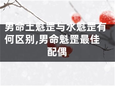 男命土魁罡与水魁罡有何区别,男命魁罡最佳配偶