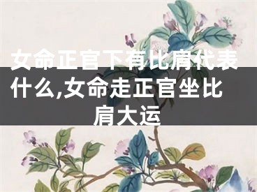 女命正官下有比肩代表什么,女命走正官坐比肩大运