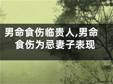 男命食伤临贵人,男命食伤为忌妻子表现