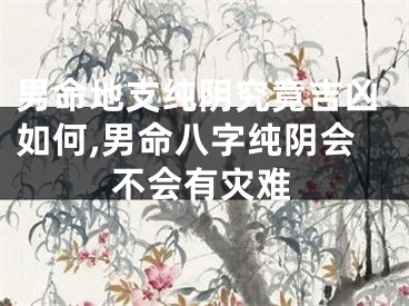 男命地支纯阴究竟吉凶如何,男命八字纯阴会不会有灾难