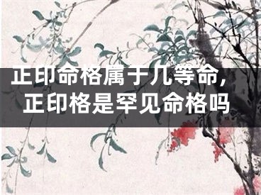 正印命格属于几等命,正印格是罕见命格吗