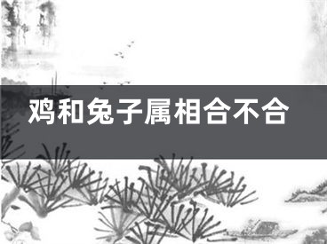 鸡和兔子属相合不合