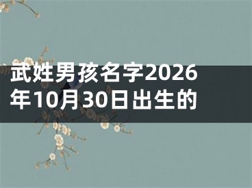 武姓男孩名字2026年10月30日出生的