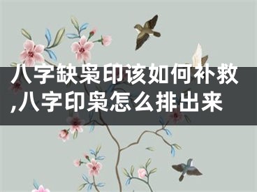 八字缺枭印该如何补救,八字印枭怎么排出来