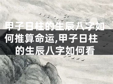 甲子日柱的生辰八字如何推算命运,甲子日柱的生辰八字如何看