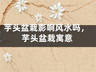 芋头盆栽影响风水吗，芋头盆栽寓意