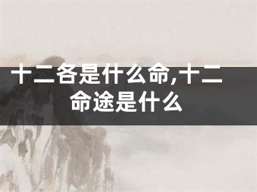 十二各是什么命,十二命途是什么