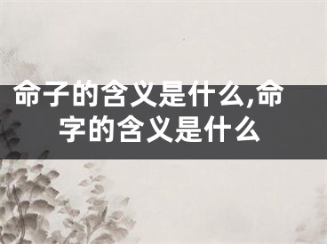 命子的含义是什么,命字的含义是什么