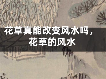花草真能改变风水吗，花草的风水