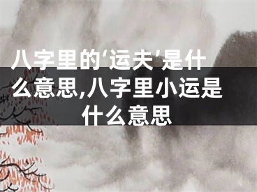 八字里的‘运夫’是什么意思,八字里小运是什么意思