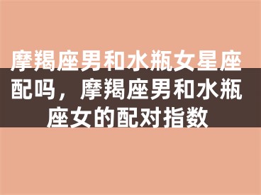 摩羯座男和水瓶女星座配吗，摩羯座男和水瓶座女的配对指数
