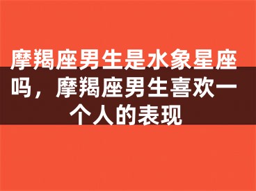 摩羯座男生是水象星座吗，摩羯座男生喜欢一个人的表现
