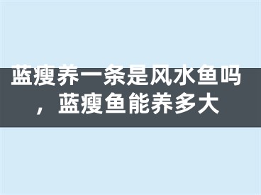 蓝瘦养一条是风水鱼吗，蓝瘦鱼能养多大