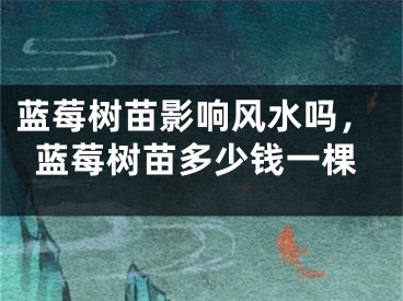 蓝莓树苗影响风水吗，蓝莓树苗多少钱一棵