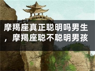 摩羯座真正聪明吗男生，摩羯座聪不聪明男孩