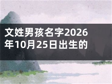 文姓男孩名字2026年10月25日出生的