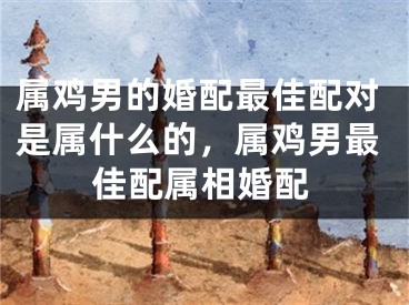 属鸡男的婚配最佳配对是属什么的，属鸡男最佳配属相婚配