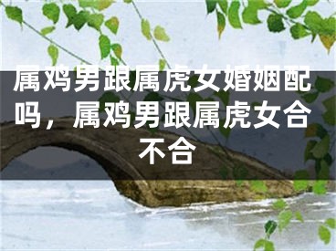 属鸡男跟属虎女婚姻配吗，属鸡男跟属虎女合不合