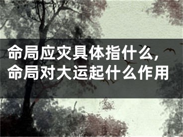 命局应灾具体指什么,命局对大运起什么作用