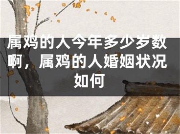 属鸡的人今年多少岁数啊，属鸡的人婚姻状况如何