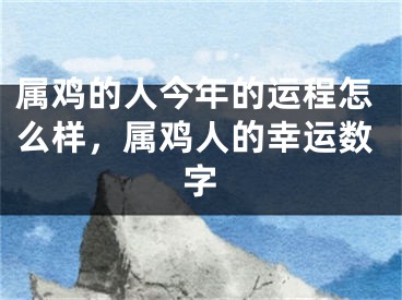 属鸡的人今年的运程怎么样，属鸡人的幸运数字
