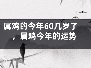 属鸡的今年60几岁了，属鸡今年的运势