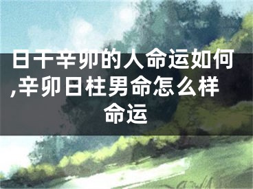 日干辛卯的人命运如何,辛卯日柱男命怎么样命运