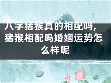 八字猪猴真的相配吗,猪猴相配吗婚姻运势怎么样呢