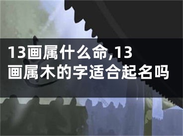 13画属什么命,13画属木的字适合起名吗