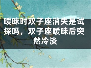 暧昧时双子座消失是试探吗，双子座暧昧后突然冷淡