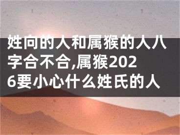 姓向的人和属猴的人八字合不合,属猴2026要小心什么姓氏的人