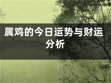 属鸡的今日运势与财运分析