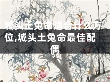 城头土兔命适合什么方位,城头土兔命最佳配偶