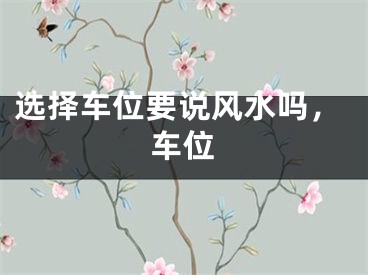 选择车位要说风水吗，车位