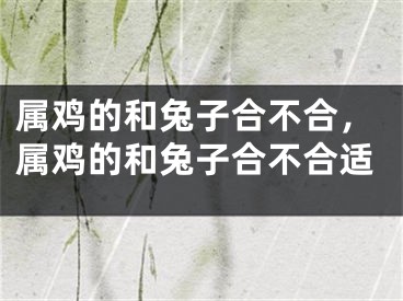 属鸡的和兔子合不合，属鸡的和兔子合不合适