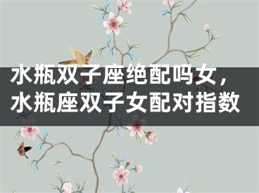 水瓶双子座绝配吗女，水瓶座双子女配对指数