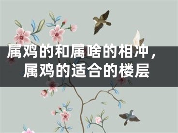 属鸡的和属啥的相冲，属鸡的适合的楼层